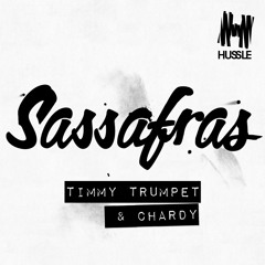 Sassafras by Timmy Trumpet & Chardy (Original) - Teaser