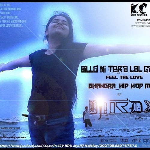 DJ! RDX~BILLO NI TERA LAL GAGRA [BHANGRA HIP-HOP MIX]