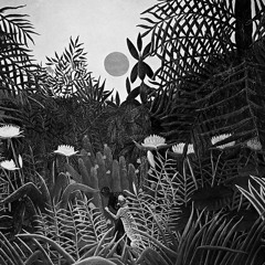 Trommeln am Äquator (1905)