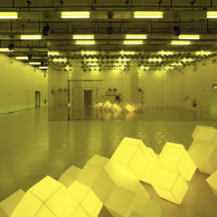 Cogidubnus - Friendly Rotating Dodecahedrons