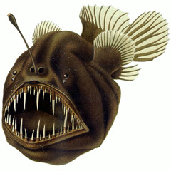 Bathypelagic Congress - Danger Blossoms (2012-Apr-18)