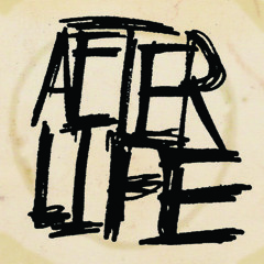Switchfoot - Afterlife (2FUEL Rmx) [free download]
