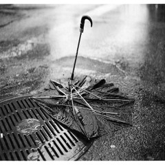 broken umbrella
