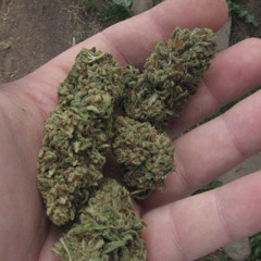 Dj Kahle - Cheefin' Heavy Remix #2