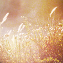 June (original sample)