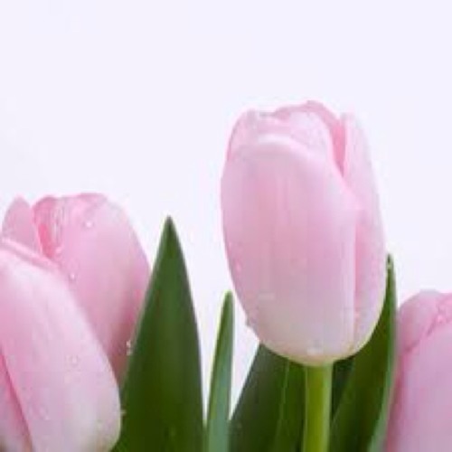 Lady by Kenny Rogers and Lionel Ritchie :)