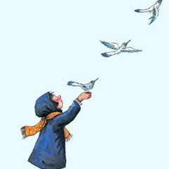 張懸 / 自由