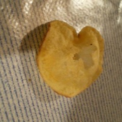 Le spleen du racisme chips-ique