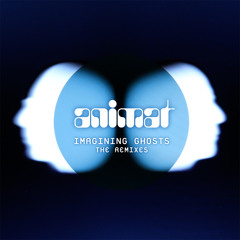 Animat - Goldfish Girl (Chang remix) - available now on Big Chill Recordings.