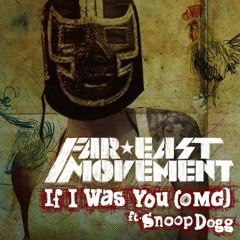 Far East Movement - If I Was You (Benny Benassi Remix) feat Snoop Dogg