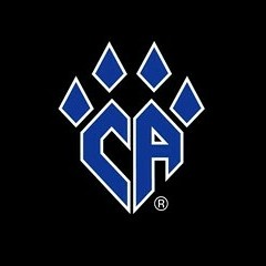 Cheer Athletics Cheetahs (2012)