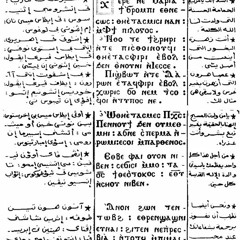 لحن شيرى نى ماريا