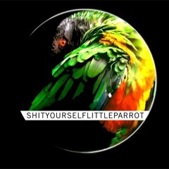 JafudhaStep (Shit Yourself Little Parrot Mix)
