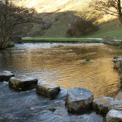 Stones In The Dove (From the album 'Memory Lake' 2012)