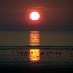 Skinny Buddha & The Dying Sunset (From the album 'Memory Lake' 2012)