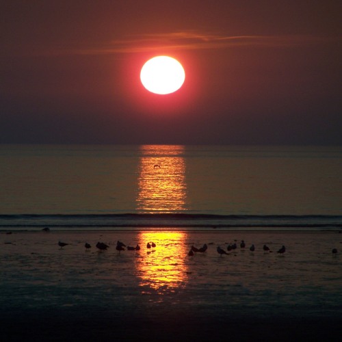 Skinny Buddha & The Dying Sunset (From the album 'Memory Lake' 2012)
