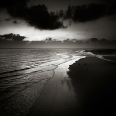 Dark Sunshines [FOR SALE]