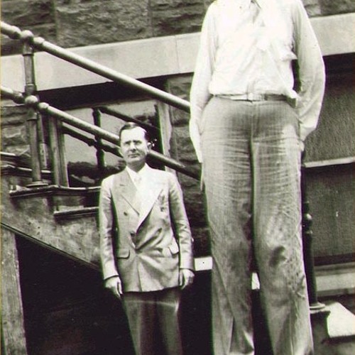 20 footz      Brooklyn Terry VS Erykah Badu