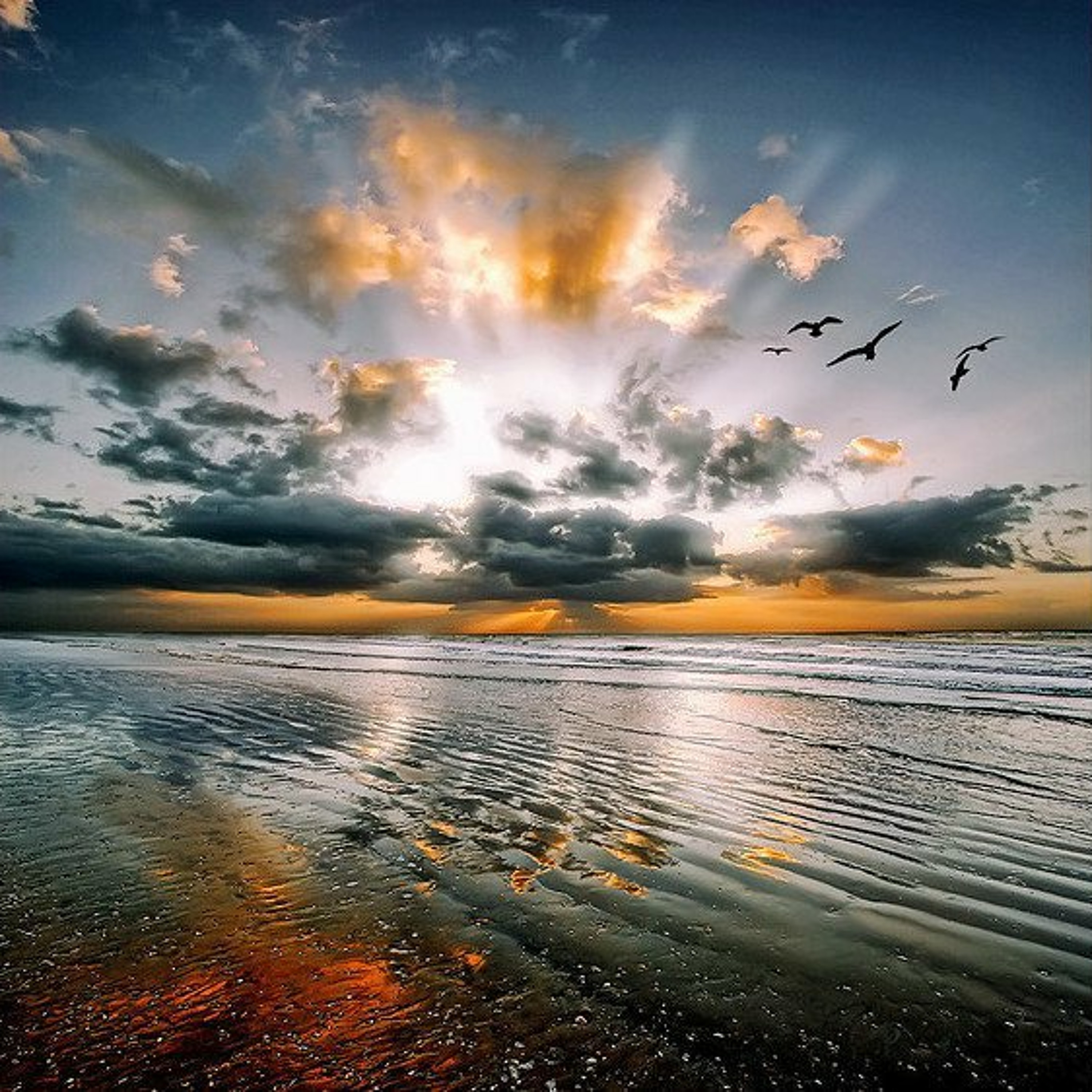 A Loving Light