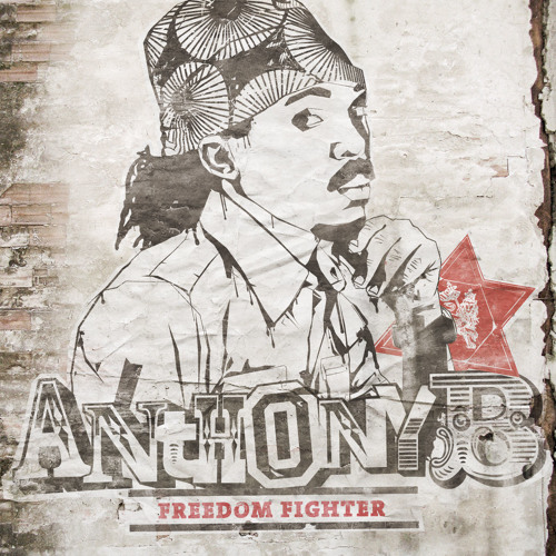 Anthony B - Freedom Fighter (Album MegaMix)