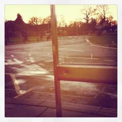 Seerosenteich - Philipp Poisel COVER