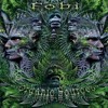 Download Video: 2.Fobi - Organic Sources 153 bpm