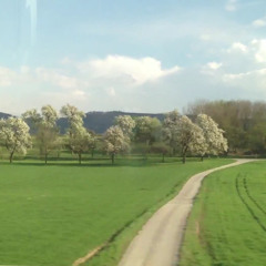 Feux & Dyzma - Train to Paris (itsy bitsy version)