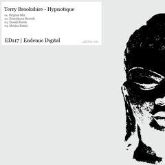 Terry Brookshire - Hypnotique (Original Mix) [Endemic Digital]