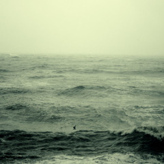 Dima Sound - She's the One