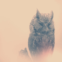 Dima sound - Salute (demo)