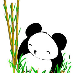O Panda Pindo