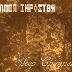 Inner Imposter - Sleep Channel - Ambient Guitar Instrumental - Backing Track