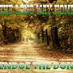 THE LONG WAY HOME