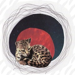 fading rapidly rough draft