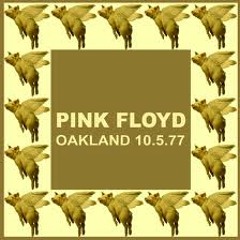 "Pigs On The Wing" - Pink Floyd (Live)