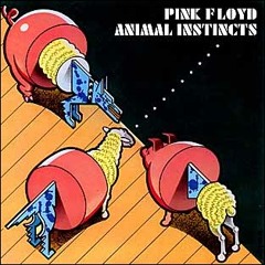 pink floyd