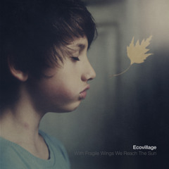 Ecovillage - A New World