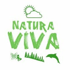 Lazy Bug - Kids at the bar / Natura Viva /