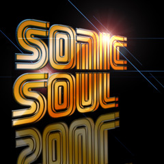 Jay's Toy Robot - Disco Woman (Sonic Soul ReMix) Pre Order Link Inside