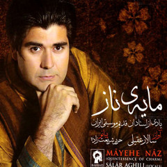 Salar Aghili - Dar Konje Delam
