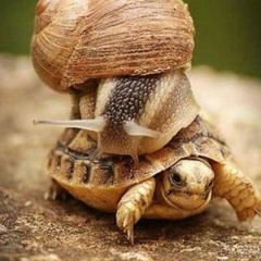 蝸牛 (世界展望會主題曲 Jay ) 鋼琴