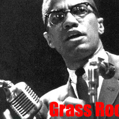 Grass Roots (Free Download)