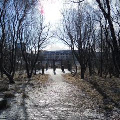 Stories are telling (wisdoms)