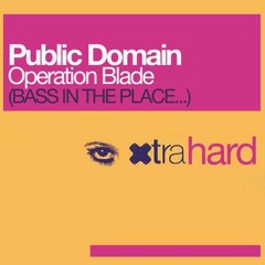 Public Domain - Operation Blade 2009 (12 club mix)