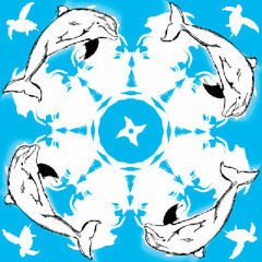 Saturate (Cini: Ohm, Electrium Records 2011)
