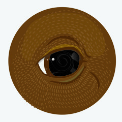 The 2 Bears: Take A Look Around (The 2 Bears vs House Of House)