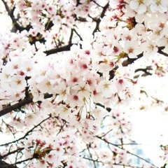 ♣난 남자가 있는데 기타 겁나 짧음(노래)♧