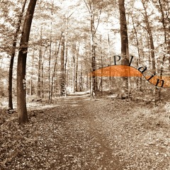 Plainly in concert at StattBild Radioshow