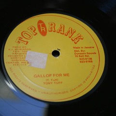 Tony Tuff - Gallop For Me