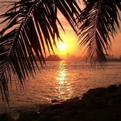 Chasing Summer 2012 Mix